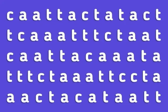 retos visuales retos visuales