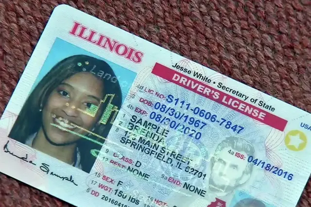 Licencia EE.UU. Licencia EE.UU.