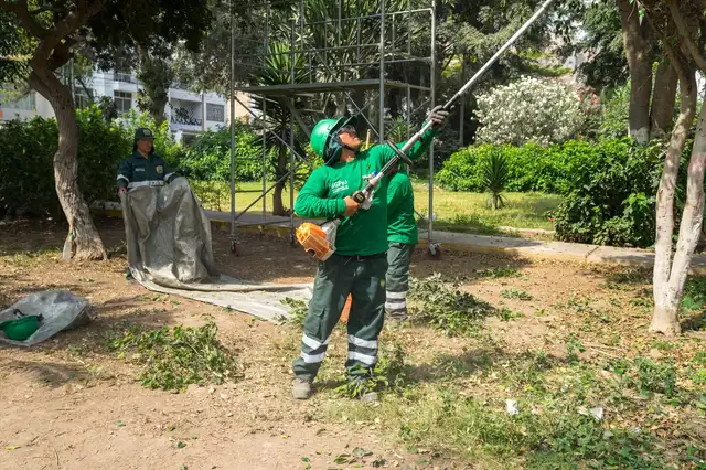 municipalidad de san martín de porres municipalidad de san martín de porres