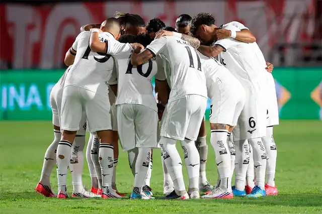 Botafogo, Copa Sudamericana Botafogo, Copa Sudamericana