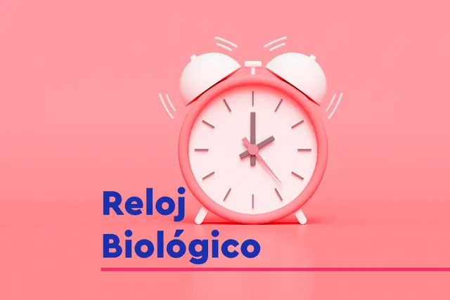 Reloj biológico Reloj biológico