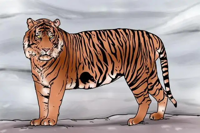 Reto visual: encuentra a la presa. | Fuente:genial gurú