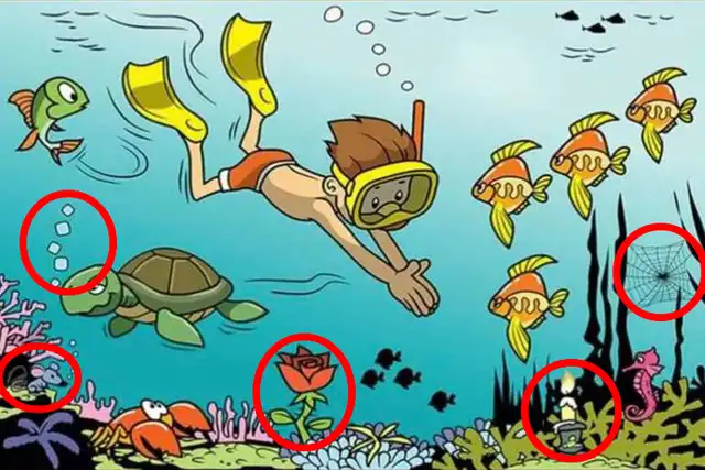 retos visuales retos visuales