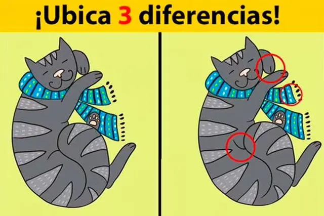 reto visual reto visual