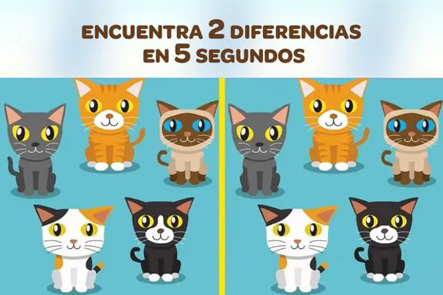 Reto visual. Reto visual.