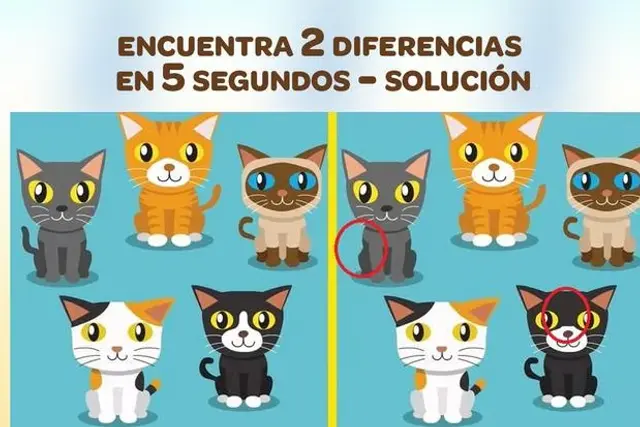 Reto visual. Reto visual.