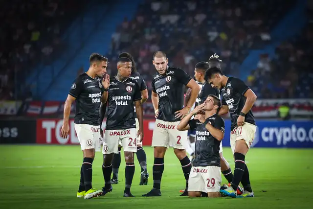 Universitario, Junior