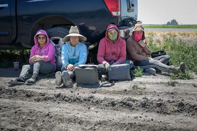 Nuevas leyes en California