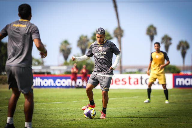 Universitario