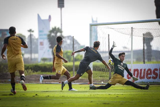 Universitario