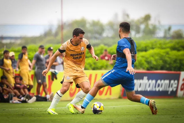Universitario