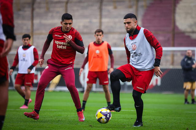 Universitario