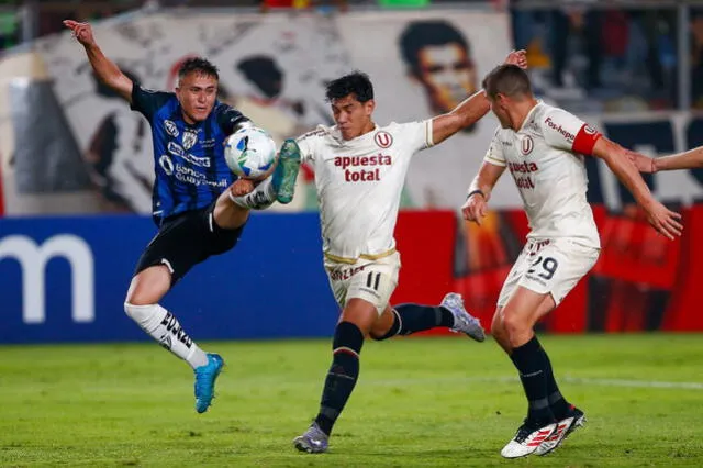 Universitario
