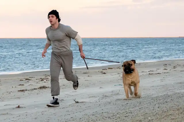 I Play Rocky I Play Rocky