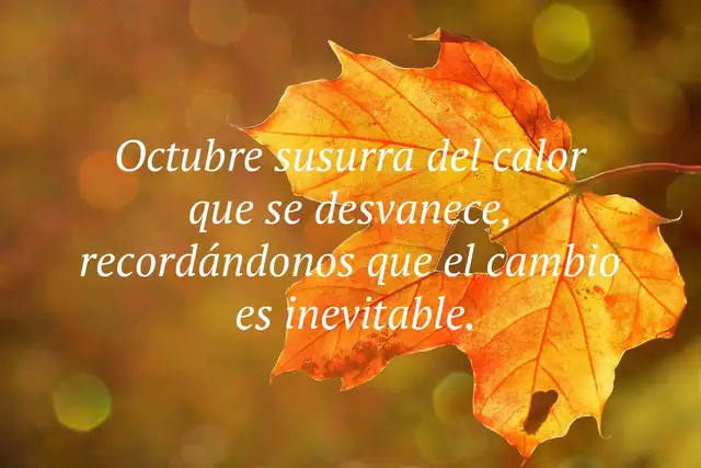 Frases cortas octubre 