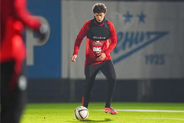 Fabio Gruber, Selección Peruana