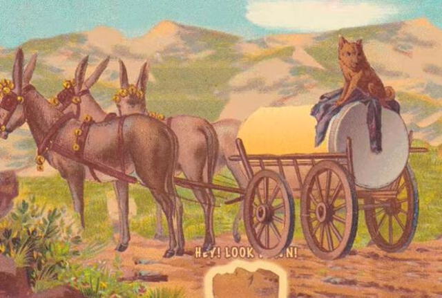 Reto visual Reto visual