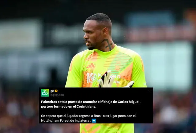 Carlos Miguel, Palmeiras