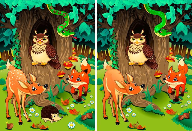 Reto visual completo: encuentra las 10 diferencias Reto visual completo: encuentra las 10 diferencias