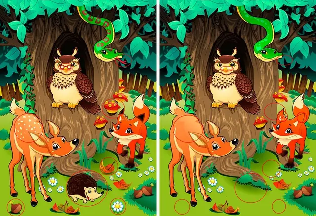 Solución al reto visual extremo Solución al reto visual extremo