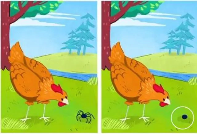 acertijo visual