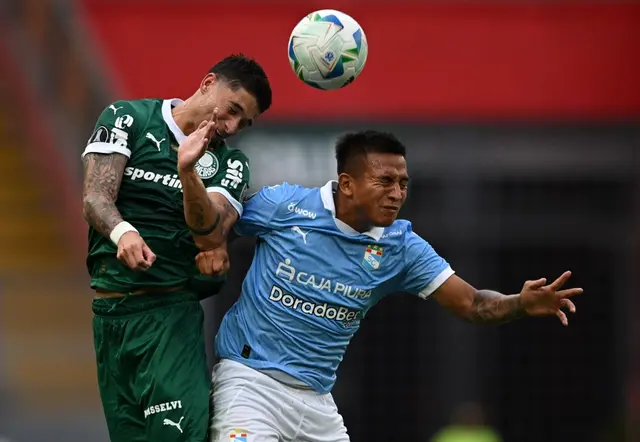 Cristal palmeiras
