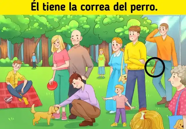 acertijo visual