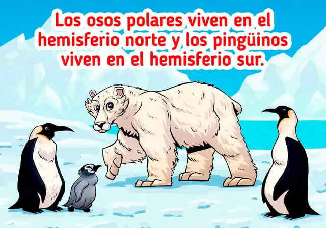 reto visual