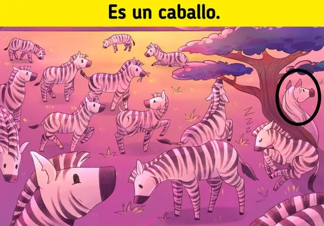 reto visual