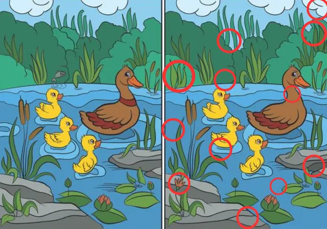 Reto visual Reto visual