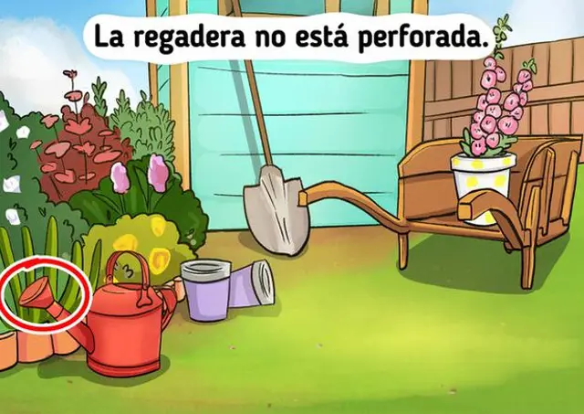 reto visual