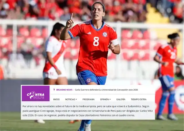 Karen Araya, Universitario