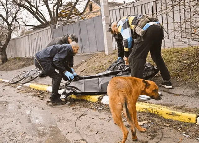 Perro acompañó el cuerpo sin vida de su dueño. 