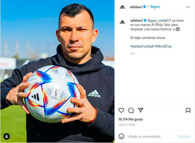 Gary Medel