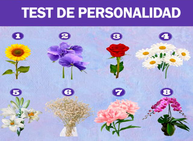  test de personalidad