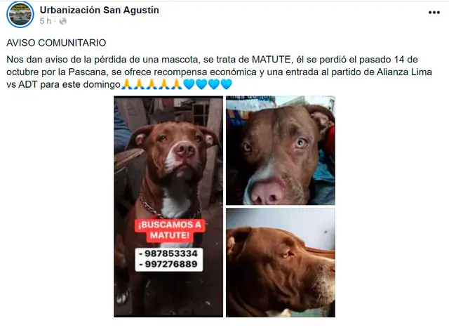 Alianza Lima Alianza Lima