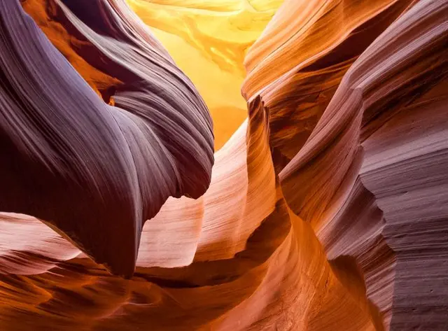  Reto visual: ¿Dónde están las hojas ocultas? / foto: Faceook   