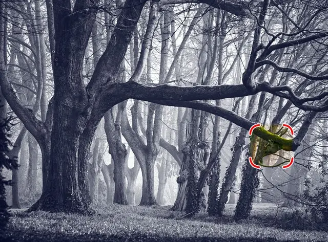 Solución al reto visual   