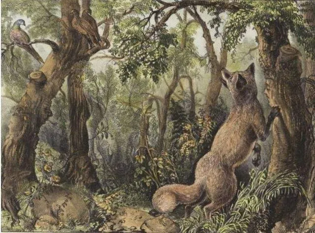 reto visual reto visual