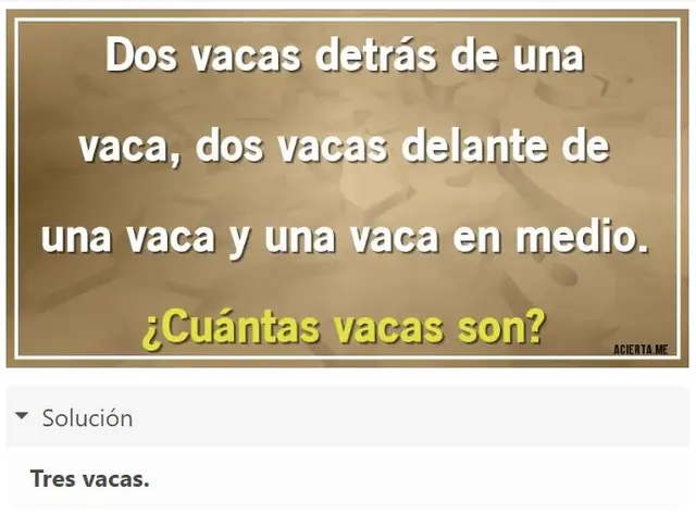 acertijo visual acertijo visual