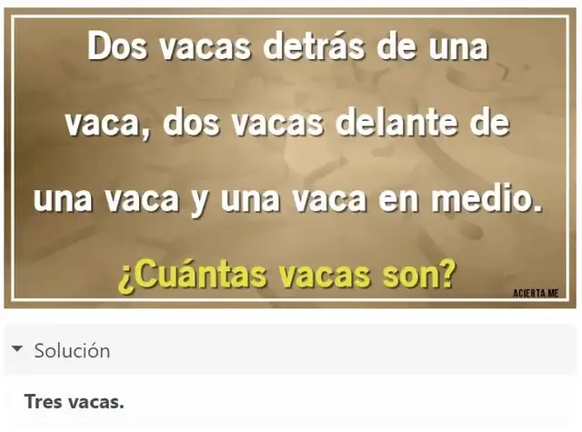 acertijo visual