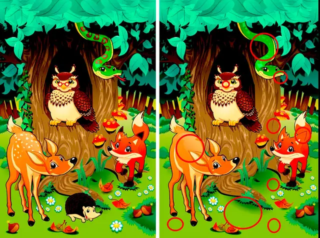 Respuesta del reto visual 