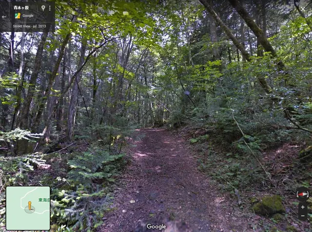 Google Maps bosque de los suicidas