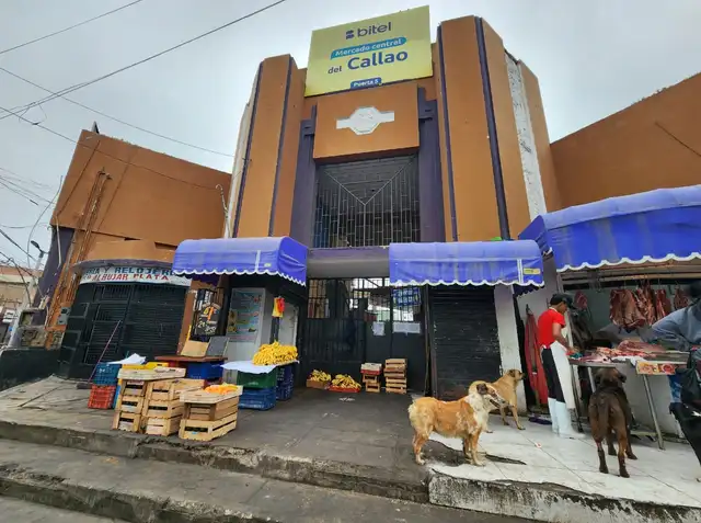 paro 6 de noviembre paro 6 de noviembre