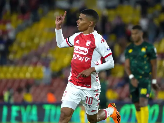 José Enamorado José Enamorado