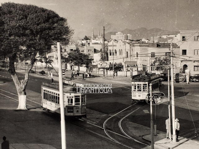 avenida brasil avenida brasil