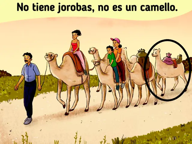 reto visual