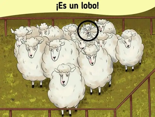reto visual