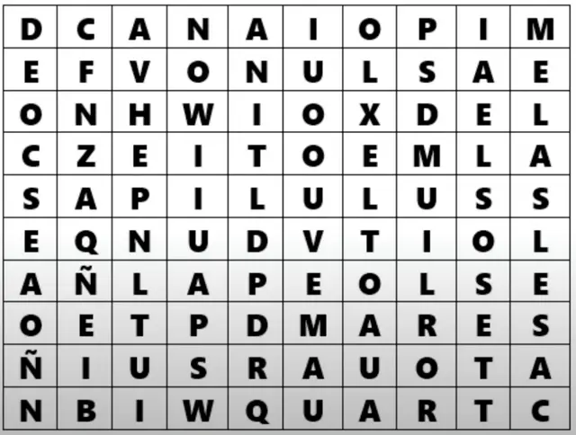 Reto visual. Reto visual.