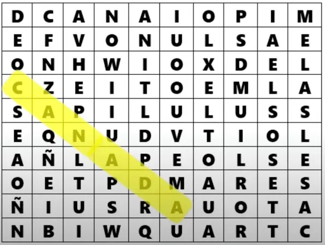 Reto visual. Reto visual.